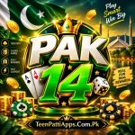 PAK14 Game