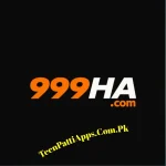 999HA Game
