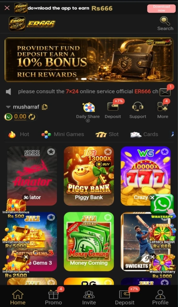 ER666 Game